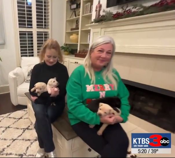 Provenance Puppies and Holly The Christmas Dog KTBS Rick Rowe