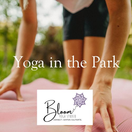 Yoga in Greenleaf Park